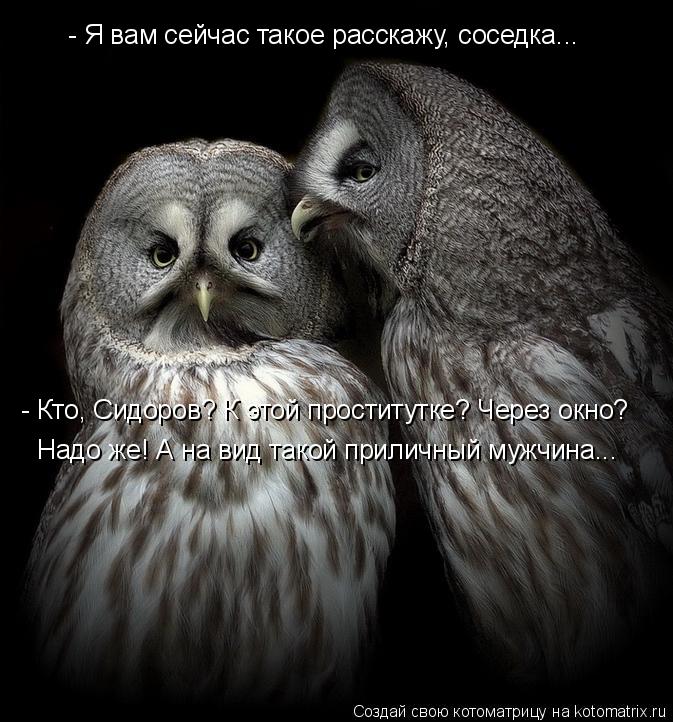 - Я вам сейчас такое расскажу, соседка... - Кто, Сидоров? К этой проститутке? Через окно? Надо же! А ... Котоматрица: - Я вам сейчас такое расскажу, соседка... - Кто, Сидоров? К этой проститутке? Через окно? Надо же! А на вид такой приличный мужчина...