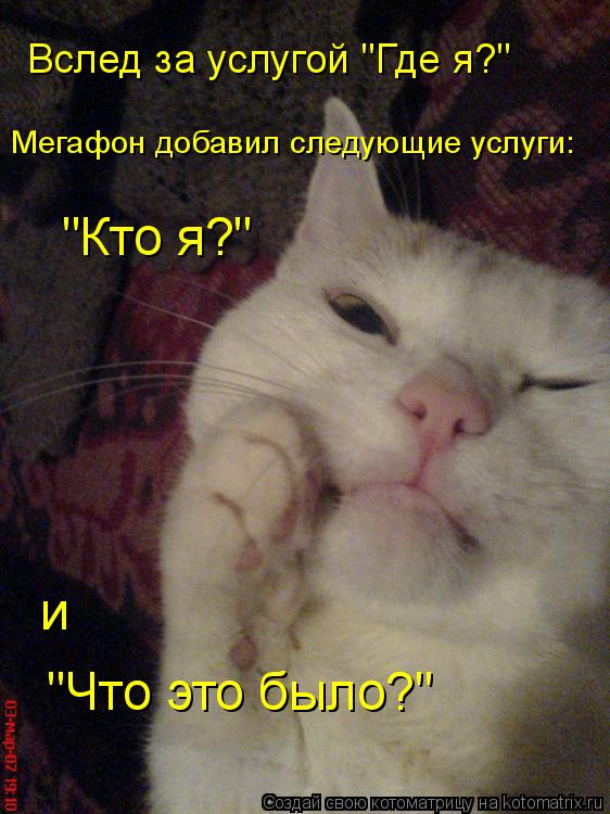 Вслед за услугой "Где я?" Мегафон добавил следующие услуги: "Кто я?" "Что это было?" и... Котоматрица: Вслед за услугой "Где я?" Мегафон добавил следующие услуги: "Кто я?" "Что это было?" и