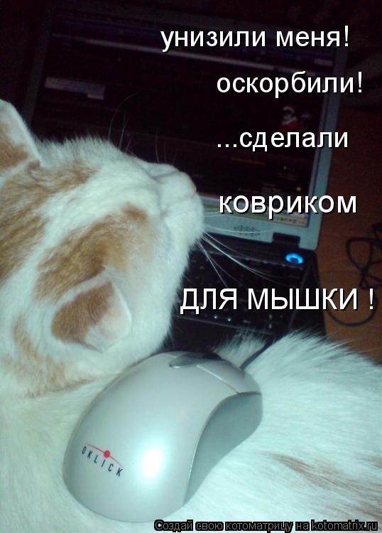 Котоматрица: унизили меня!  оскорбили! ...сделали ковриком ДЛЯ МЫШКИ !