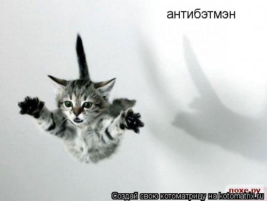 антибэтмэн... Котоматрица: антибэтмэн
