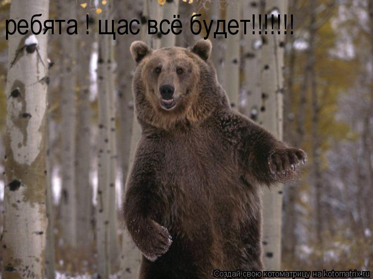 ребята ! щас всё будет!!!!!!!... Котоматрица: ребята ! щас всё будет!!!!!!!