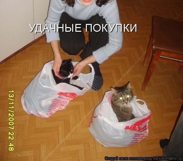 УДАЧНЫЕ ПОКУПКИ... Котоматрица: УДАЧНЫЕ ПОКУПКИ