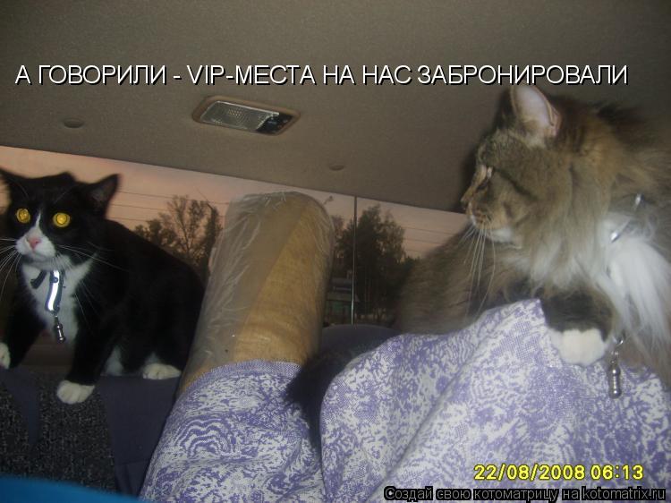 А ГОВОРИЛИ - VIP-МЕСТА НА НАС ЗАБРОНИРОВАЛИ... Котоматрица: А ГОВОРИЛИ - VIP-МЕСТА НА НАС ЗАБРОНИРОВАЛИ