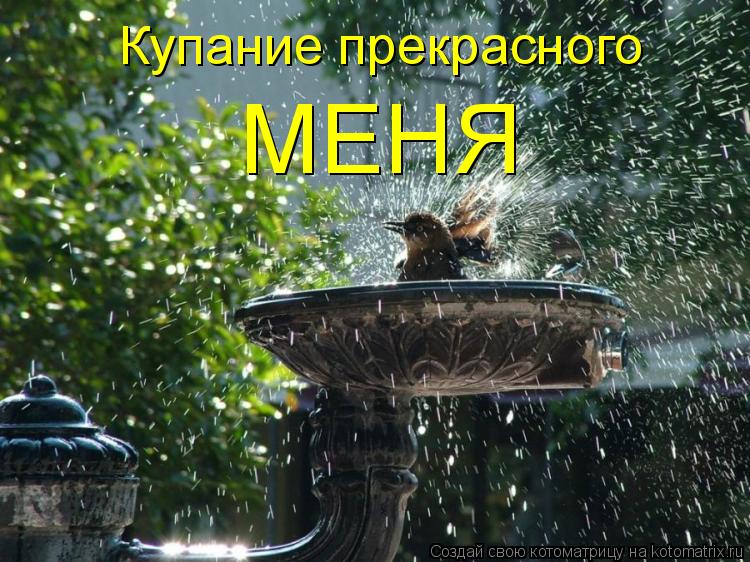Купание прекрасного МЕНЯ... Котоматрица: Купание прекрасного МЕНЯ
