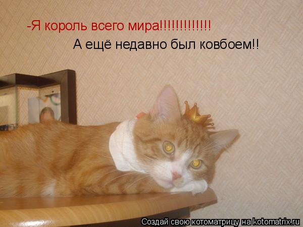 -Я король всего мира!!!!!!!!!!!!! А ещё недавно был ковбоем!!... Котоматрица: -Я король всего мира!!!!!!!!!!!!! А ещё недавно был ковбоем!!