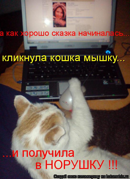 кликнула кошка мышку... а как хорошо сказка начиналась... ...и получила в НОРУШКУ !!!... Котоматрица: кликнула кошка мышку... а как хорошо сказка начиналась... ...и получила в НОРУШКУ !!!