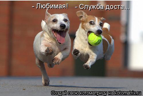 - Любимая! - Служба доста...... Котоматрица: - Любимая! - Служба доста...