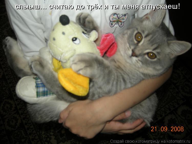 слыыш... считаю до трёх и ты меня атпускаеш!... Котоматрица: слыыш... считаю до трёх и ты меня атпускаеш!