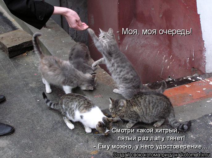 - Моя, моя очередь! - Смотри какой хитрый, пятый раз лапу тянет! - Ему можно, у него удостоверение...... Котоматрица: - Моя, моя очередь! - Смотри какой хитрый, пятый раз лапу тянет! - Ему можно, у него удостоверение...