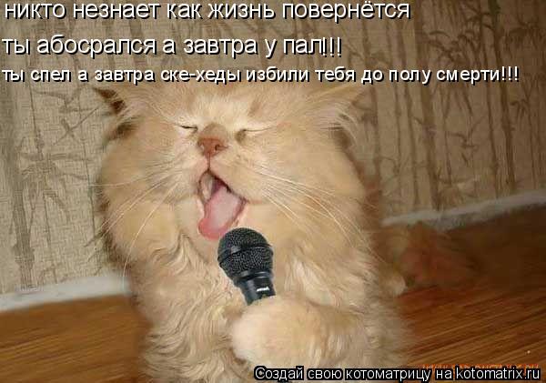 ты абосрался а завтра у пал ты абосрался а завтра у пал !!! никто незнает как жизнь повернётся ты спе... Котоматрица: ты абосрался а завтра у пал ты абосрался а завтра у пал !!! никто незнает как жизнь повернётся ты спел а завтра ске-хеды избили тебя до полу см