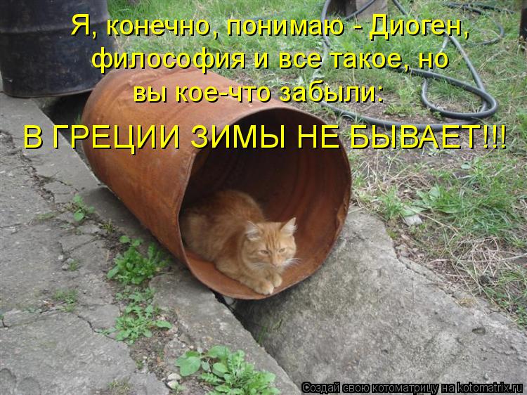 Я, конечно, понимаю - Диоген, философия и все такое, но вы кое-что забыли: В ГРЕЦИИ ЗИМЫ НЕ БЫВАЕТ!!!... Котоматрица: Я, конечно, понимаю - Диоген, философия и все такое, но вы кое-что забыли: В ГРЕЦИИ ЗИМЫ НЕ БЫВАЕТ!!!