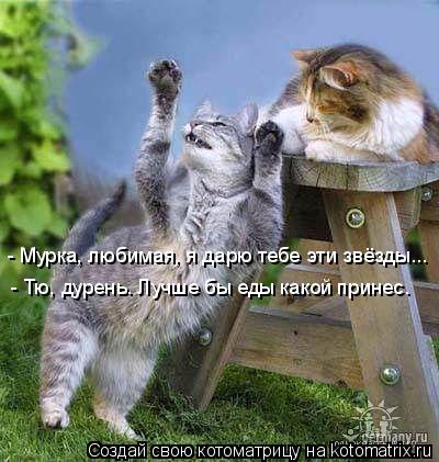 - Мурка, любимая, я дарю тебе эти звёзды... - Тю, дурень. Лучше бы еды какой принес.... Котоматрица: - Мурка, любимая, я дарю тебе эти звёзды... - Тю, дурень. Лучше бы еды какой принес.