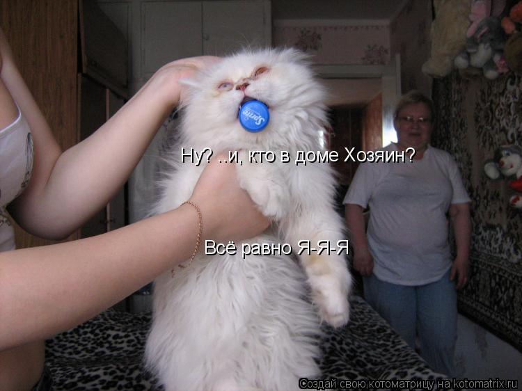 Ну? ..и, кто в доме Хозяин? Всё равно Я-Я-Я... Котоматрица: Ну? ..и, кто в доме Хозяин? Всё равно Я-Я-Я