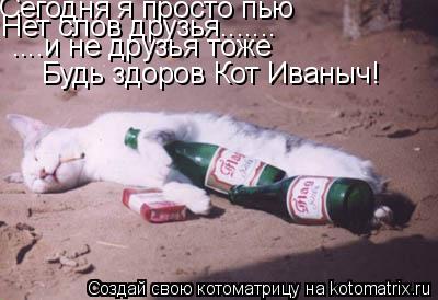 Котоматрица: Сегодня я просто пью Нет слов друзья....... ....и не друзья тоже Будь здоров Кот Иваныч!