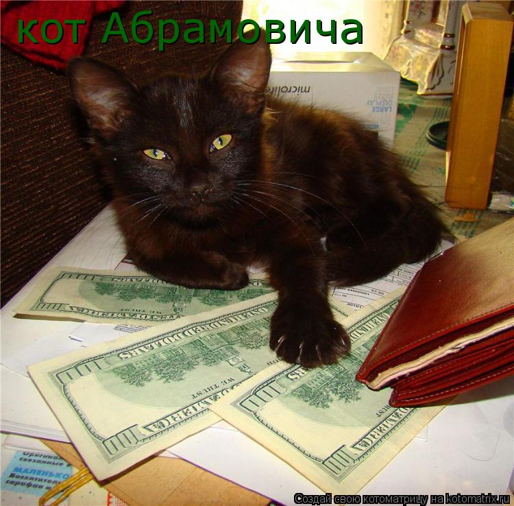 кот Абрамовича... Котоматрица: кот Абрамовича