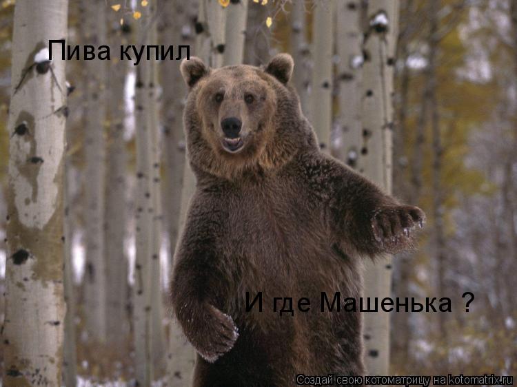 Пива купил И где Машенька ?... Котоматрица: Пива купил И где Машенька ?