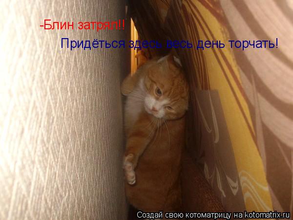 -Блин затрял!! Придёться здесь весь день торчать!... Котоматрица: -Блин затрял!! Придёться здесь весь день торчать!