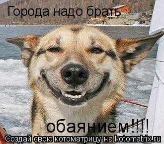 Города надо брать обаянием!!!!... Котоматрица: Города надо брать обаянием!!!!