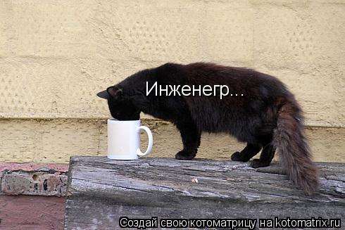 Котоматрица: Инженегр...
