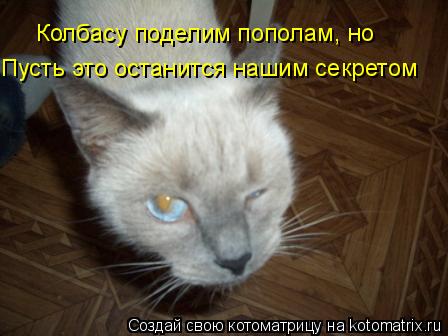 Пусть это останится нашим секретом Колбасу поделим пополам, но... Котоматрица: Пусть это останится нашим секретом Колбасу поделим пополам, но