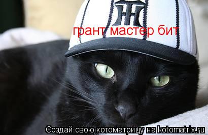 грант мастер бит... Котоматрица: грант мастер бит