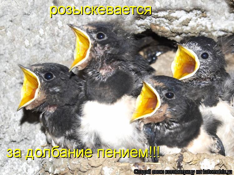 розыскевается за долбание пением!!!... Котоматрица: розыскевается за долбание пением!!!