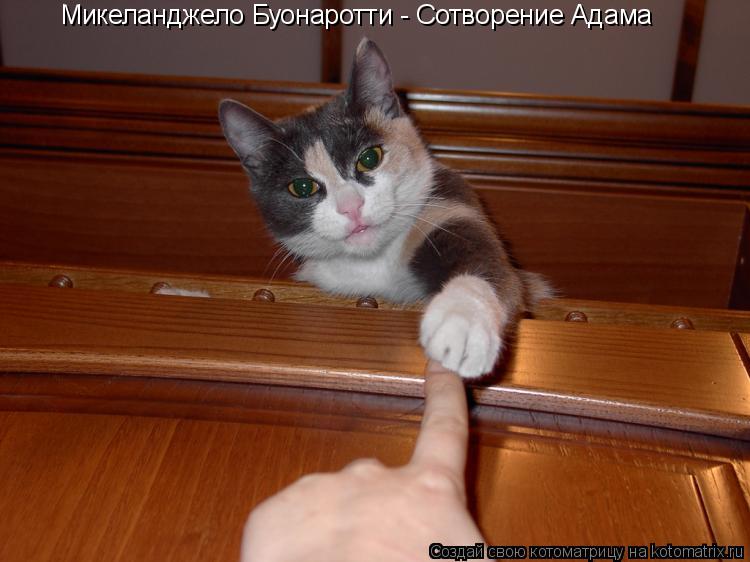 Микеланджело Буонаротти - Сотворение Адама... Котоматрица: Микеланджело Буонаротти - Сотворение Адама