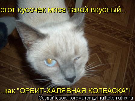 этот кусочек мяса такой вкусный... ..как "ОРБИТ-ХАЛЯВНАЯ КОЛБАСКА"!... Котоматрица: этот кусочек мяса такой вкусный... ..как "ОРБИТ-ХАЛЯВНАЯ КОЛБАСКА"!