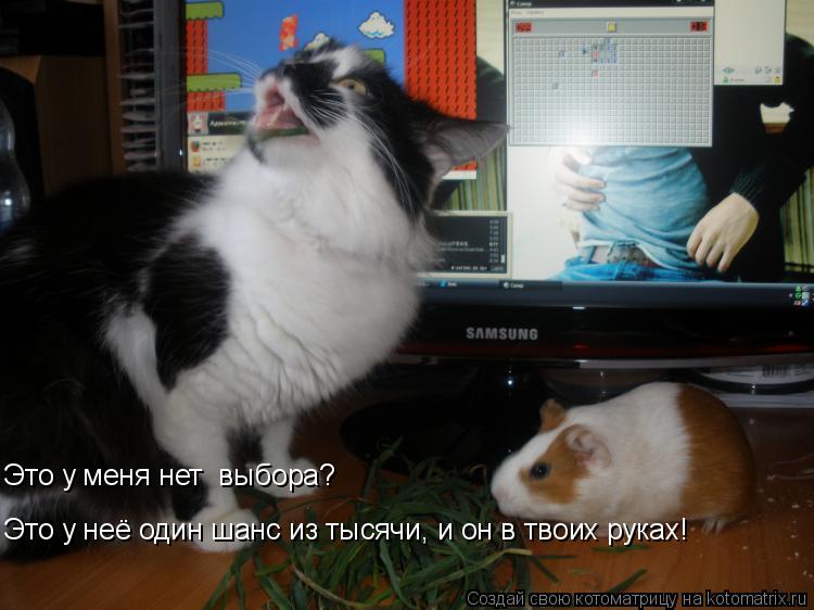 Это у неё один шанс из тысячи, и он в твоих руках! Это у меня нет выбора?... Котоматрица: Это у неё один шанс из тысячи, и он в твоих руках! Это у меня нет выбора?