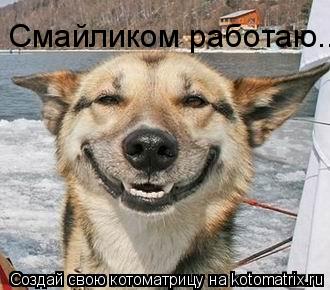 Смайликом работаю...... Котоматрица: Смайликом работаю...