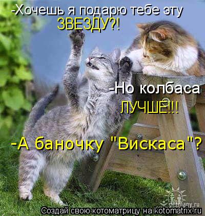 Котоматрица: -Хочешь я подарю тебе эту ЗВЕЗДУ?! -Но колбаса  ЛУЧШЕ!!! -А баночку "Вискаса"?