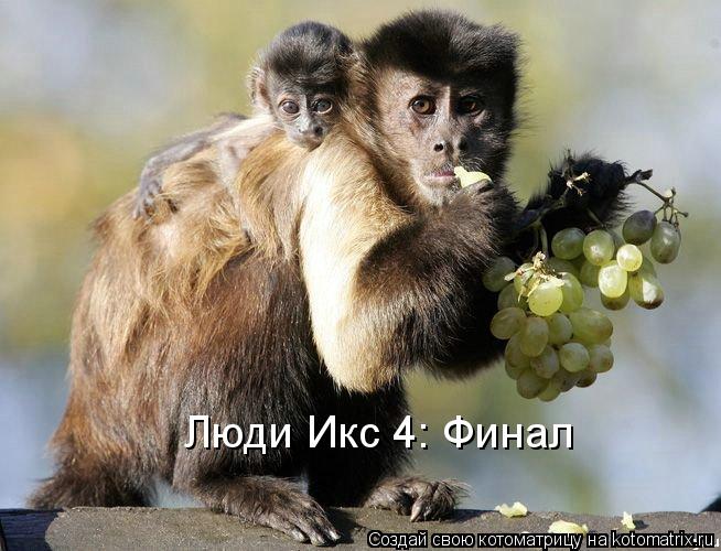 Люди Икс 4: Финал... Котоматрица: Люди Икс 4: Финал