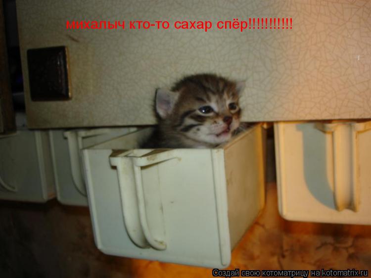 михалыч кто-то сахар спёр!!!!!!!!!!!... Котоматрица: михалыч кто-то сахар спёр!!!!!!!!!!!