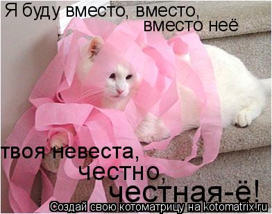 Я буду вместо, вместо, вместо неё твоя невеста, честно, честная-ё!... Котоматрица: Я буду вместо, вместо, вместо неё твоя невеста, честно, честная-ё!