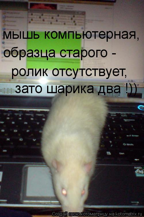 мышь компьютерная, образца старого - ролик отсутствует, зато шарика два !))... Котоматрица: мышь компьютерная, образца старого - ролик отсутствует, зато шарика два !))