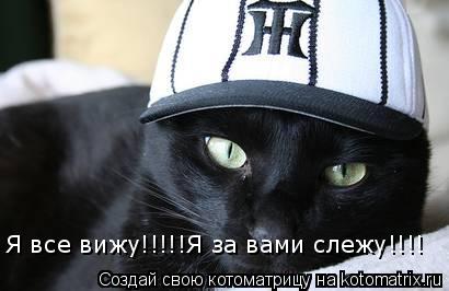 Я все вижу!!!!!Я за вами слежу!!!!... Котоматрица: Я все вижу!!!!!Я за вами слежу!!!!