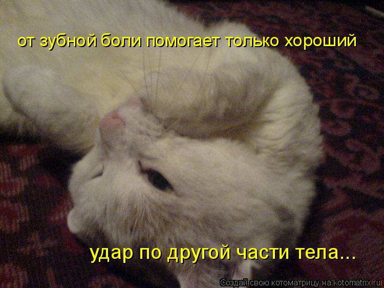 от зубной боли помогает только хороший удар по другой части тела...... Котоматрица: от зубной боли помогает только хороший удар по другой части тела...