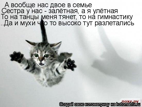 А вообще нас двое в семье Сестра у нас - залётная, а я улётная То на танцы меня тянет, то на гимнасти... Котоматрица: А вообще нас двое в семье Сестра у нас - залётная, а я улётная То на танцы меня тянет, то на гимнастику ..Да и мухи что то высоко тут разлеталис