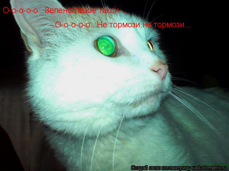 Котоматрица: О-о-о-о-о...Зеленоглазое такси... О-о-о-о-о...Не тормози,не тормози...