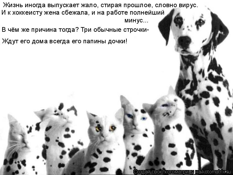 Жизнь иногда выпускает жало, стирая прошлое, словно вирус. И к хоккеисту жена сбежала, и на работе по... Котоматрица: Жизнь иногда выпускает жало, стирая прошлое, словно вирус. И к хоккеисту жена сбежала, и на работе полнейший минус... В чём же причина тогда?