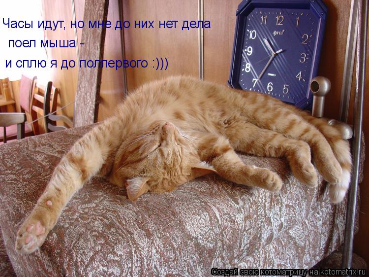Часы идут, но мне до них нет дела поел мыша - и сплю я до полпервого :)))... Котоматрица: Часы идут, но мне до них нет дела поел мыша - и сплю я до полпервого :)))