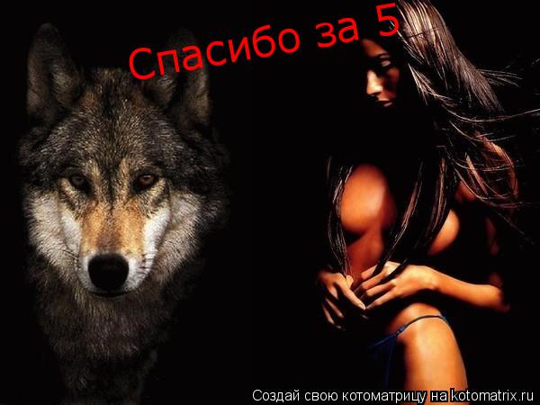 Спасибо за 5... Котоматрица: Спасибо за 5