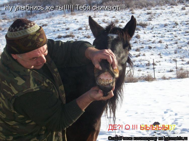 Ну улыбнись же ты!!!!! Тебя снимают!!! ДЕ?! О !!! ЫЫЫЫЫ... Котоматрица: Ну улыбнись же ты!!!!! Тебя снимают!!! ДЕ?! О !!! ЫЫЫЫЫ