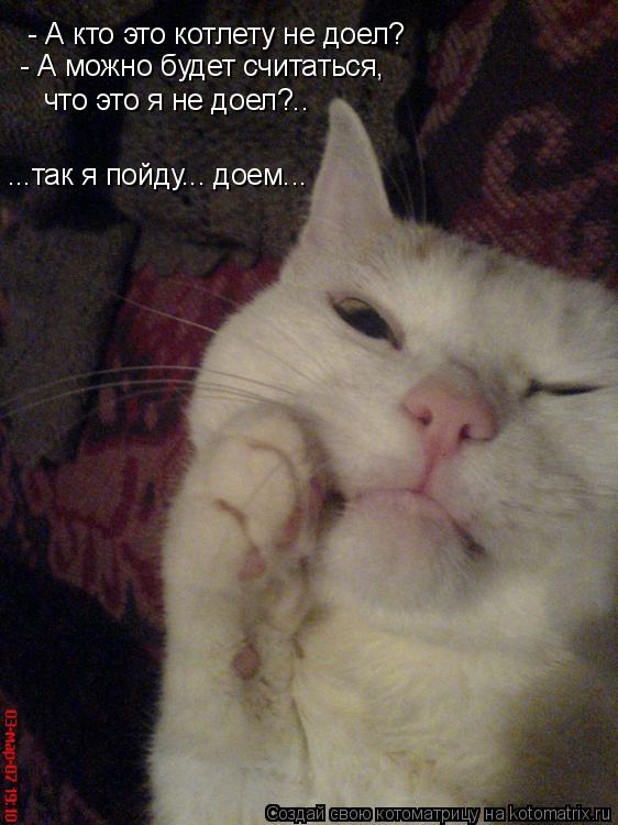- А кто это котлету не доел? - А можно будет считаться, что это я не доел?.. ...так я пойду... доем.... Котоматрица: - А кто это котлету не доел? - А можно будет считаться, что это я не доел?.. ...так я пойду... доем...