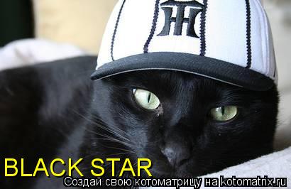 BLACK STAR... Котоматрица: BLACK STAR