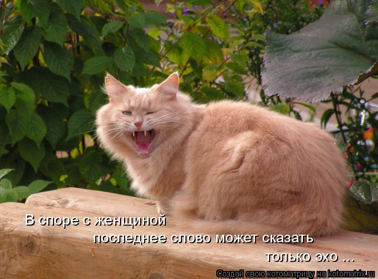 В споре с женщиной последнее слово может сказать только эхо ...... Котоматрица: В споре с женщиной последнее слово может сказать только эхо ...