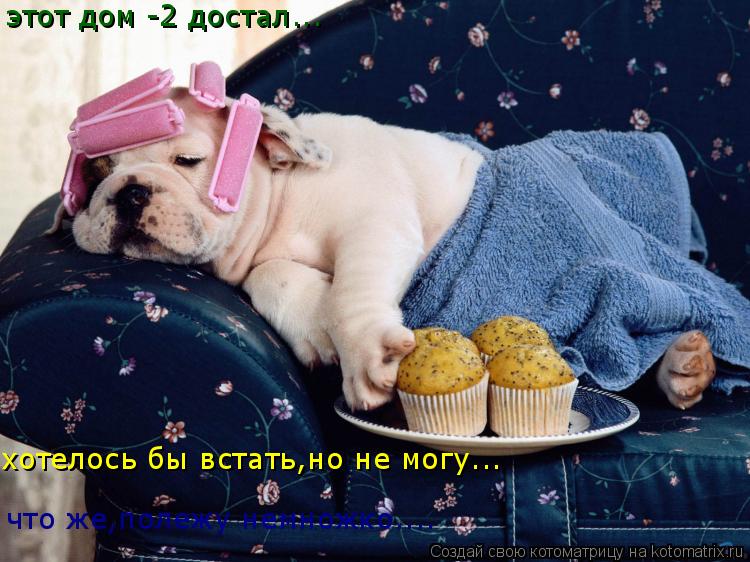 этот дом -2 достал... хотелось бы встать,но не могу... что же,полежу немножко....... Котоматрица: этот дом -2 достал... хотелось бы встать,но не могу... что же,полежу немножко....