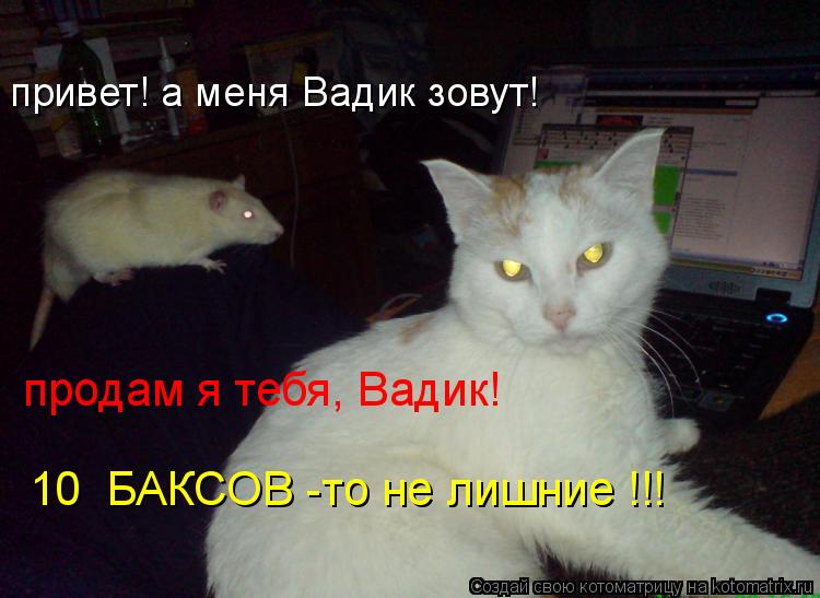 привет! а меня Вадик зовут! продам я тебя, Вадик! 10 БАКСОВ -то не лишние !!!... Котоматрица: привет! а меня Вадик зовут! продам я тебя, Вадик! 10 БАКСОВ -то не лишние !!!