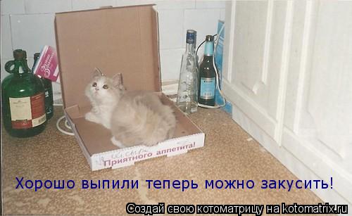 Хорошо выпили теперь можно закусить!... Котоматрица: Хорошо выпили теперь можно закусить!