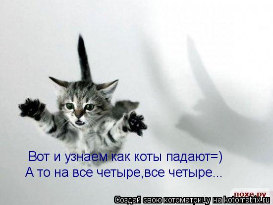 Вот и узнаем как коты падают=) А то на все четыре,все четыре...... Котоматрица: Вот и узнаем как коты падают=) А то на все четыре,все четыре...